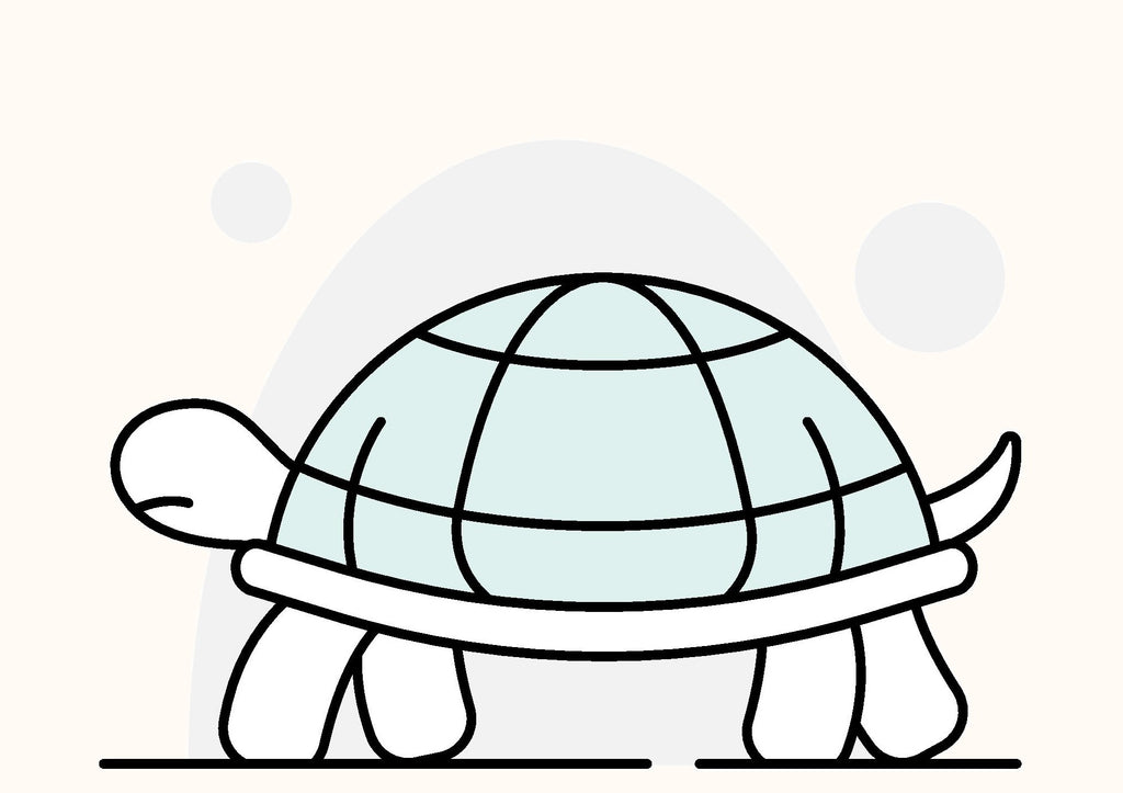 TORTOISE/TURTLE