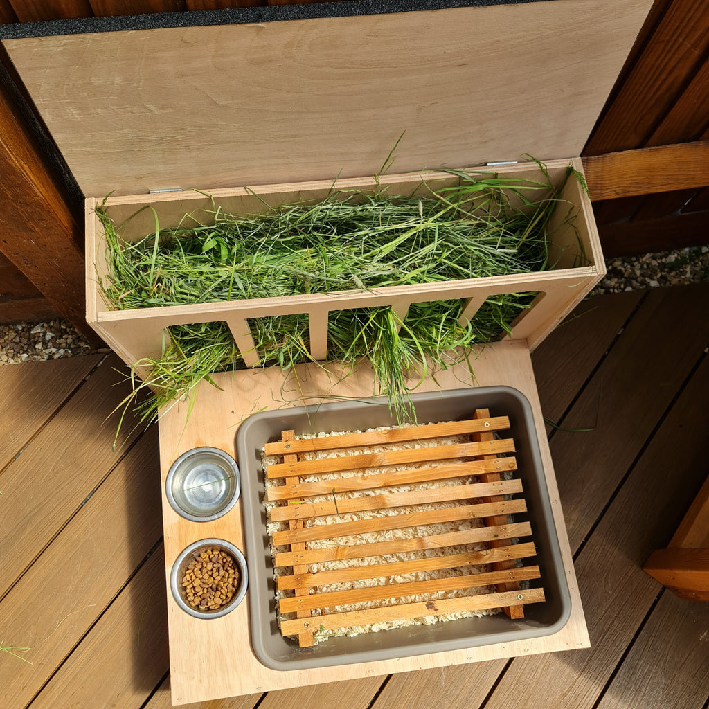 Diy Rabbit Litter Tray Rabbit Litter Tray with Hay Rack – Dingo