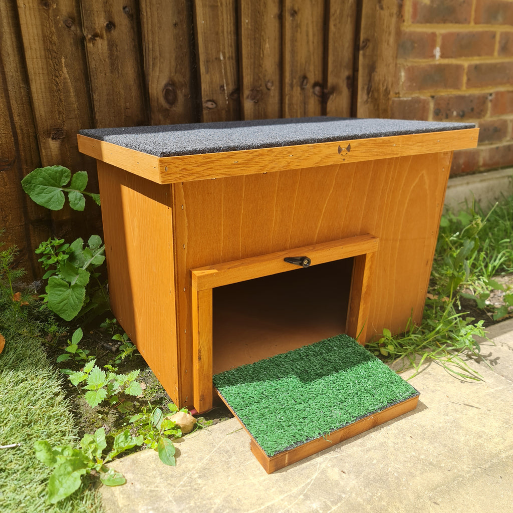 Outdoor  tortoise house 