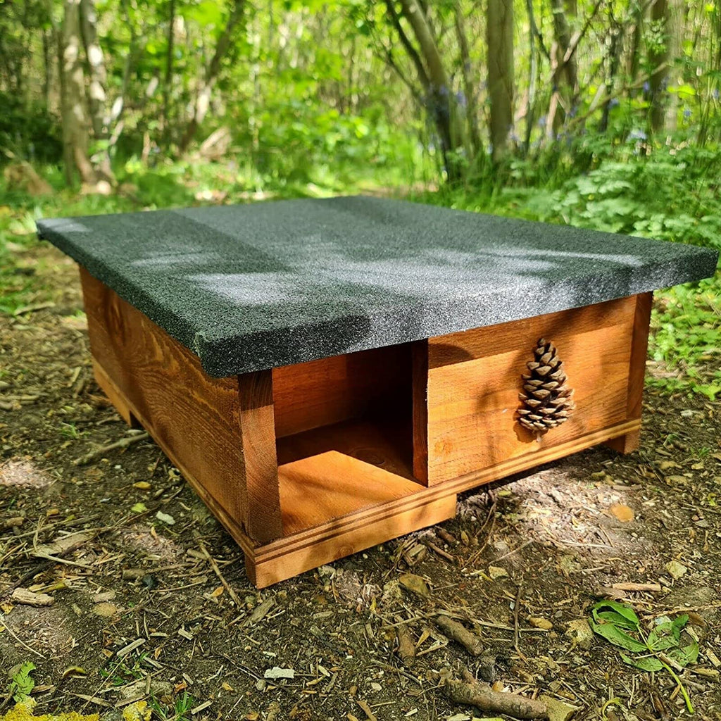 A wooden hedgehog house with a hinged roof, placed on a forest floor.